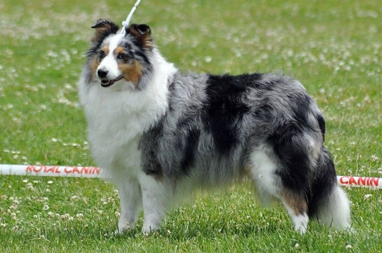 Bild laden 14_IMG20190630WA0006.jpg