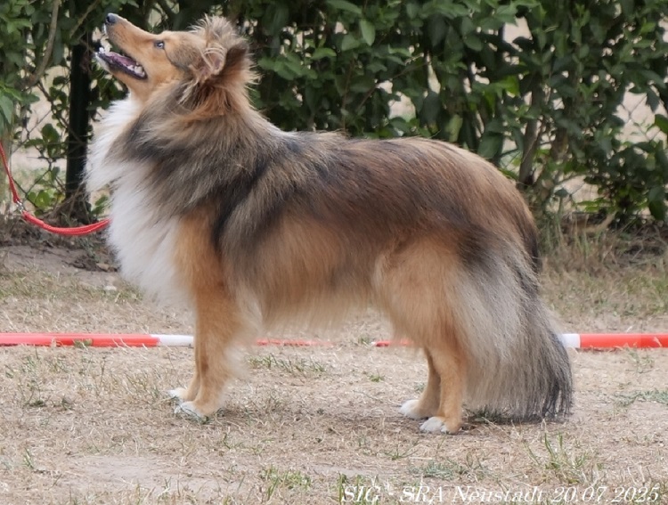 Bild laden 1824_IDAvomEssigberg01.jpg